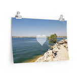 Lone Tree at the Beach | Landscape Love