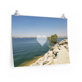 Lone Tree at the Beach | Landscape Love