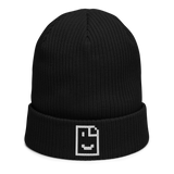 Site Reached Beanie