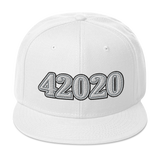 42020 | Party Cap